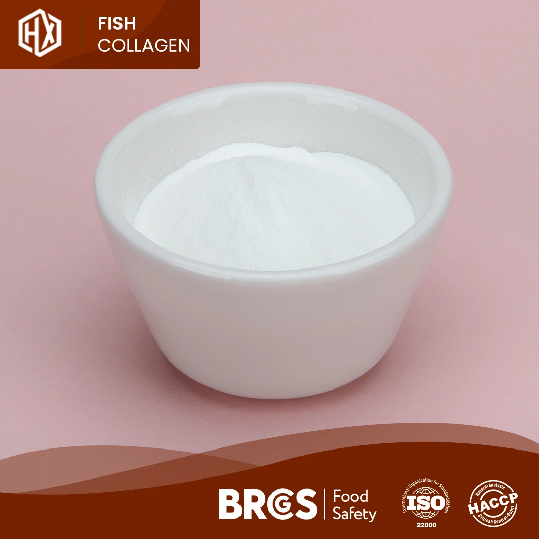 Haoxiang Bulk Mayoreo fácil absorción proteína Marina sin olor colágeno Polvo Belleza libre suministrado muestra de alimento Grado Tilapia escala colágeno Péptido