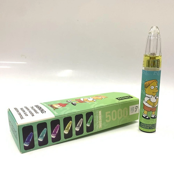 Electronic Cigarette 5000 Puffs Disposable Vapes Pen with Factory Price