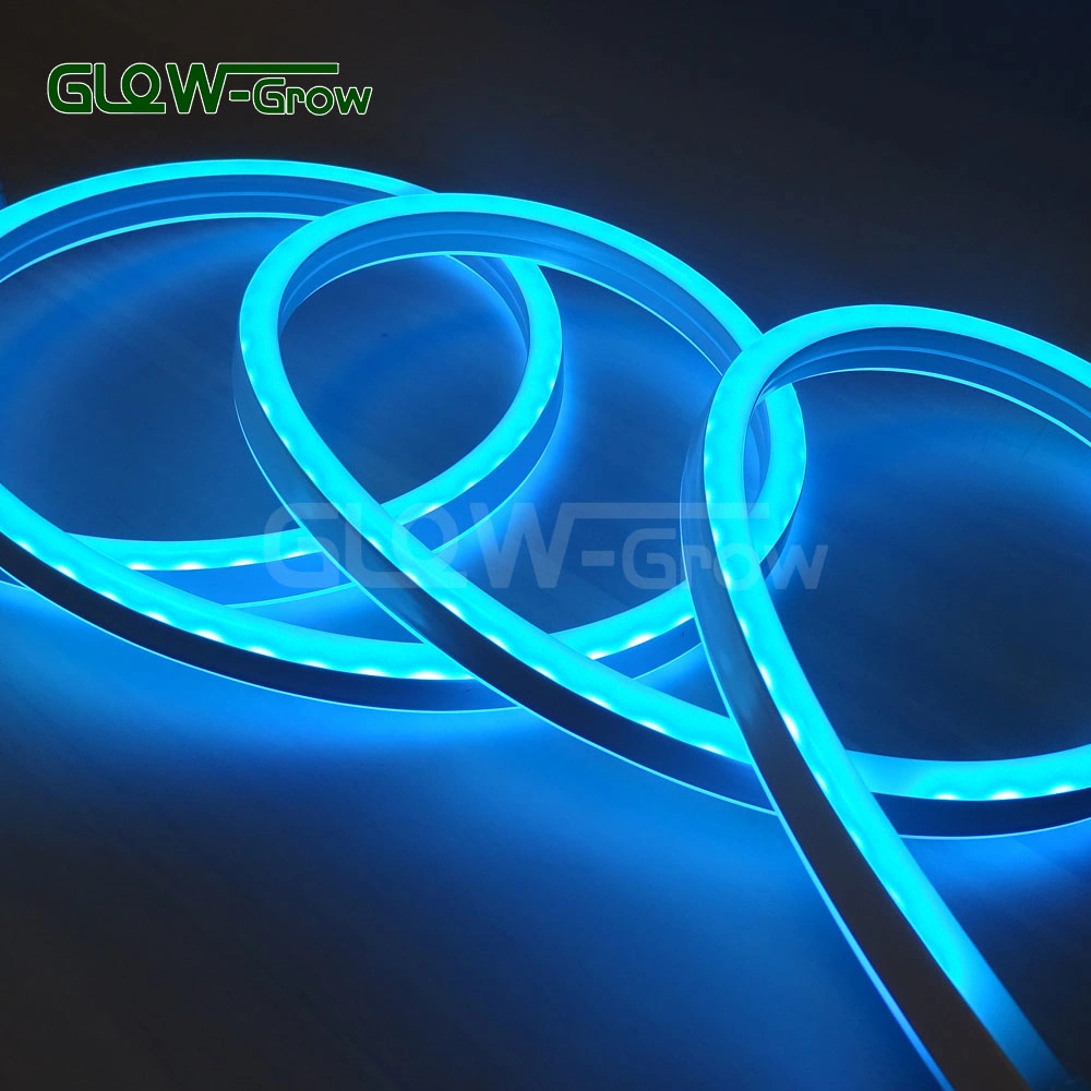 Factory ETL UL IP65 5050 RGB Sync Flexible Strip Light LED Neon Light for Highlight Landscape Building Lighting Wedding Holiday Decoration