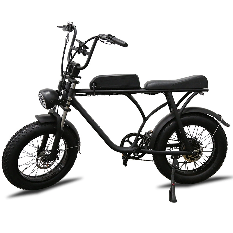 E Bike Elektrofahrrad CE 750W 48V Hinterer Nabenmotor Leichtes Elektro-Fahrrad Urban Fahrrad