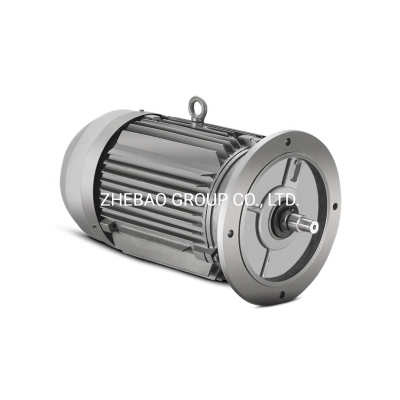 AC Induction Electric Motor IEC European Standard