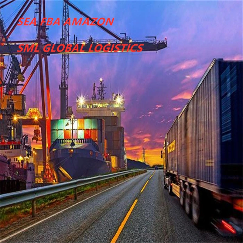 Professional Sea Freight Railway Forwarder Agent Shipping From China to Europe /Hamburg