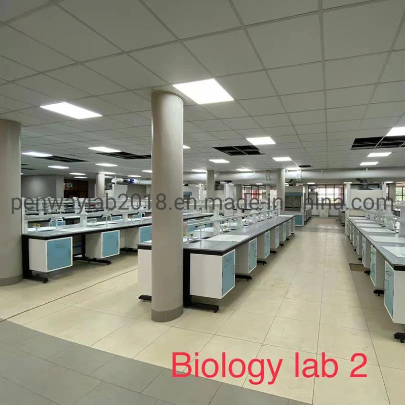 Lab Room Furniture School Lab Table Lab Bench Lab Furniture