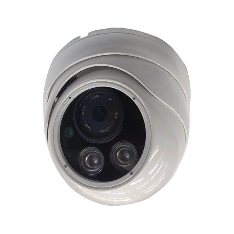 700TVL HD Caméra de vidéosurveillance IP de la sécurité imperméable intérieur/extérieur de la vision nocturne (SX-8804AD-7)