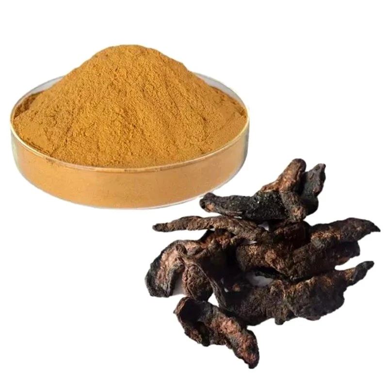 Traditional Chinese Herbal Medicine Rehmannia Root Extract Powder