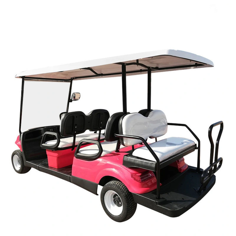 Raysince CE Approved Golf Cart Cargo Günstige Preise Electric Golf Auto mit sechs Sitzen