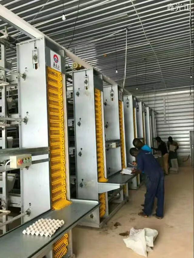 Prefab Light Steel Frame Broiler or Layer House Chicken Farm