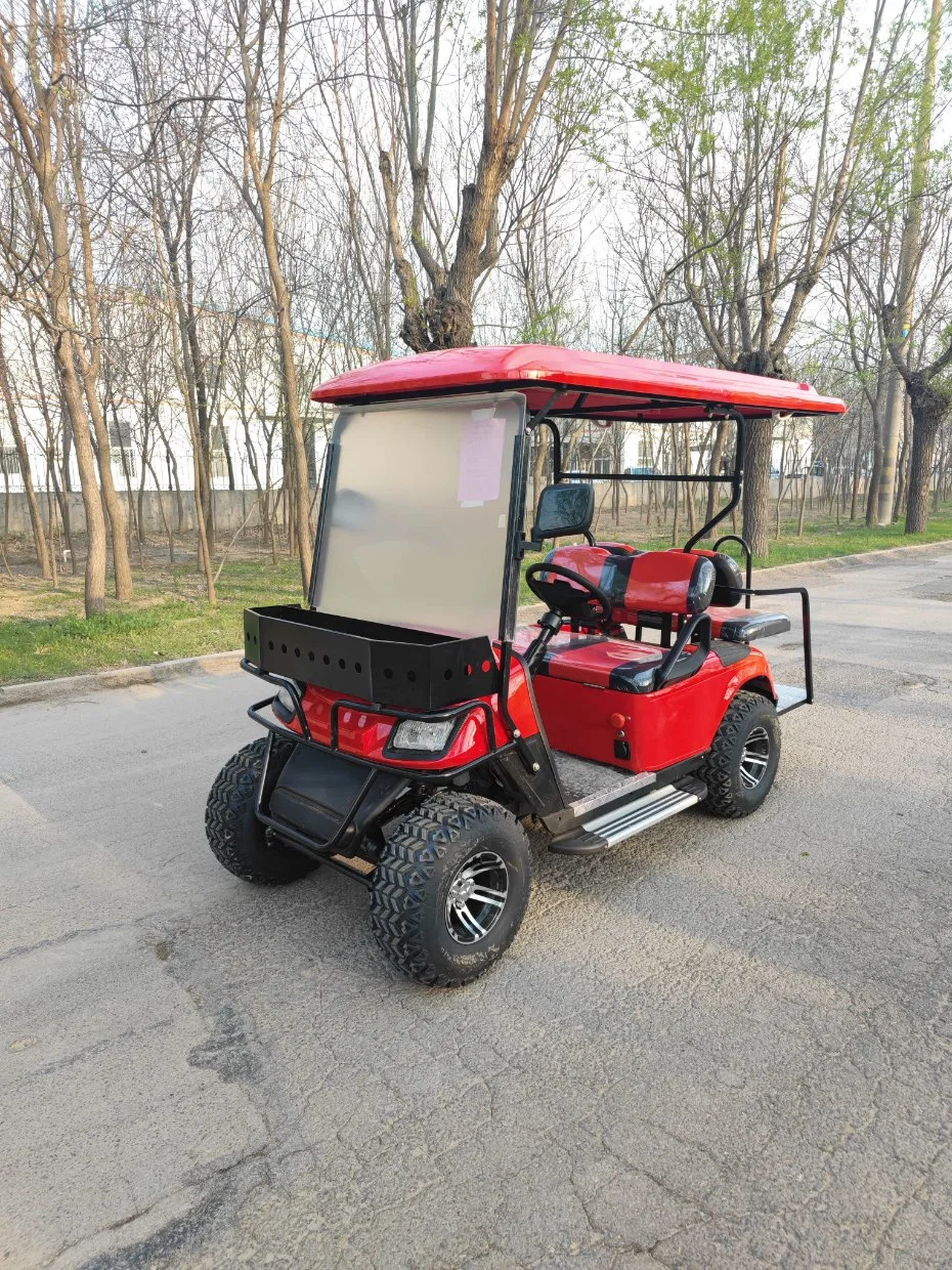 4 Seater 48V 5kw Motor Electric Golf Cart Gas Powered Motor Golf Car with LED