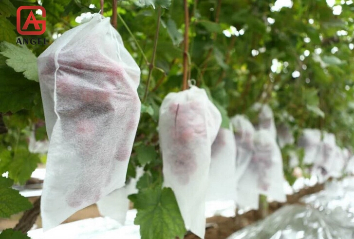 Sunscreen Nonwoven Fabric Grape Bag Fruit Protection Bag