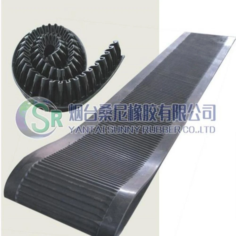 The Spre Part Rubber Filter Belt for Du Series Rubber Belt Vacuum