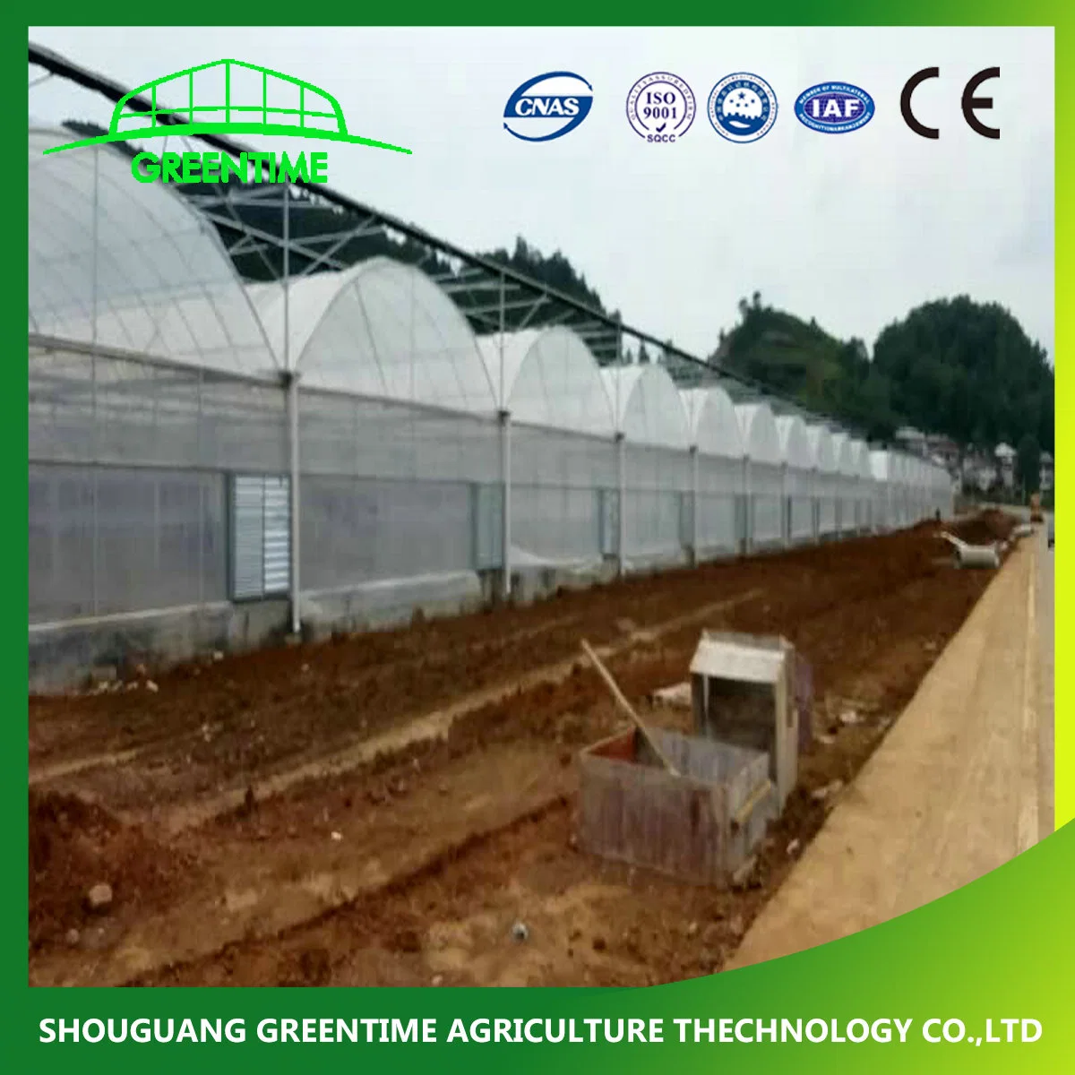 Agricultural Multi Span Plastic Film Green House Hydroponics Vertical Growing System for Sale