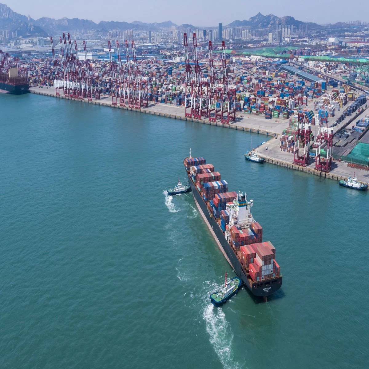 Transporte marítimo profesional de la expedición del flete de China a Guayaquil, Ecuador