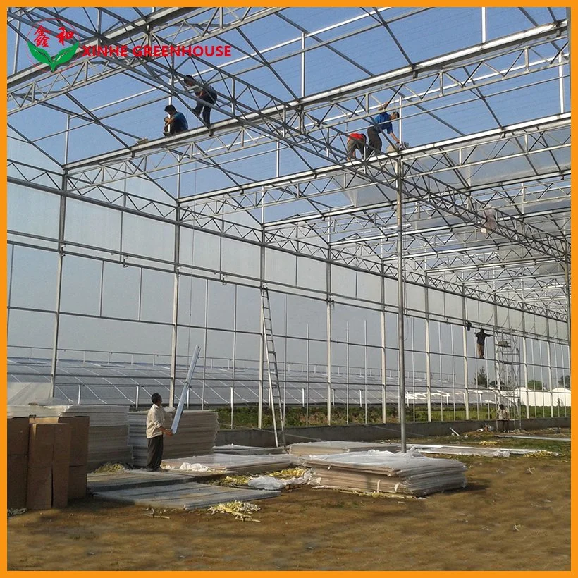 Serre commerciale/agricole en polycarbonate avec structure en acier et système hydroponique pour la culture de tomates/concombres/laitues/poivrons.