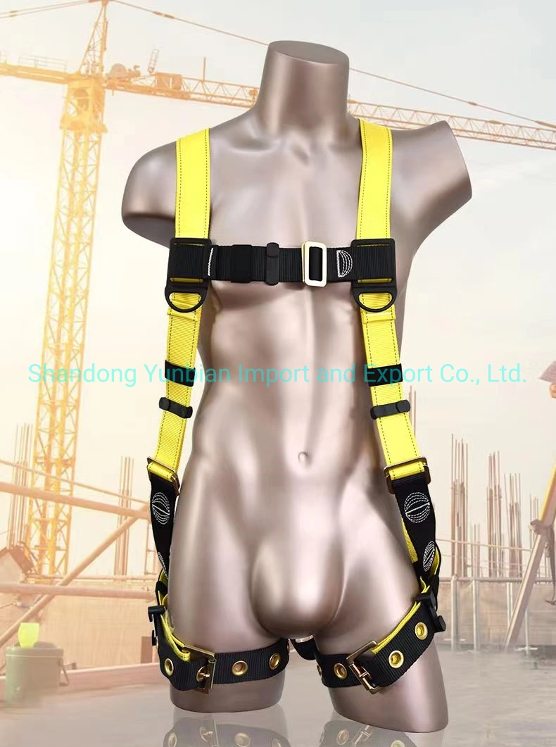 European Double-Back Full-Body Safety Belt