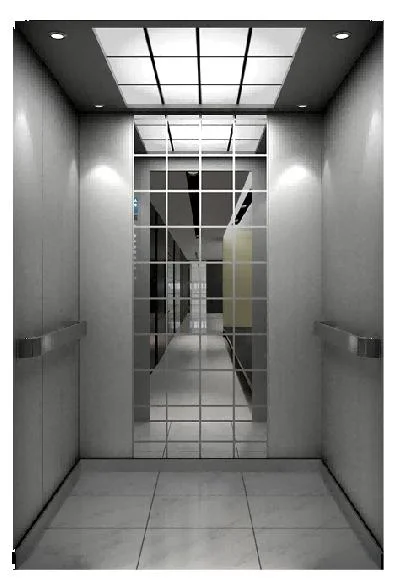 Professional Service Traction Series Home Elevator Lift for Sale