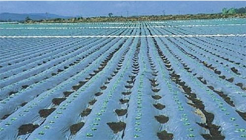 Kunststoff Mulch Film Arten von Verpackungen Taschen für landwirtschaftliche &amp; Gartenarbeit