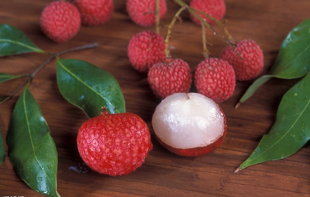 Frutas enlatadas Lichis Dulces en Almíbar Ligero/Pesado con Litografía en Latas Verdes de Apertura Fácil - Mejor Producto en Fujian