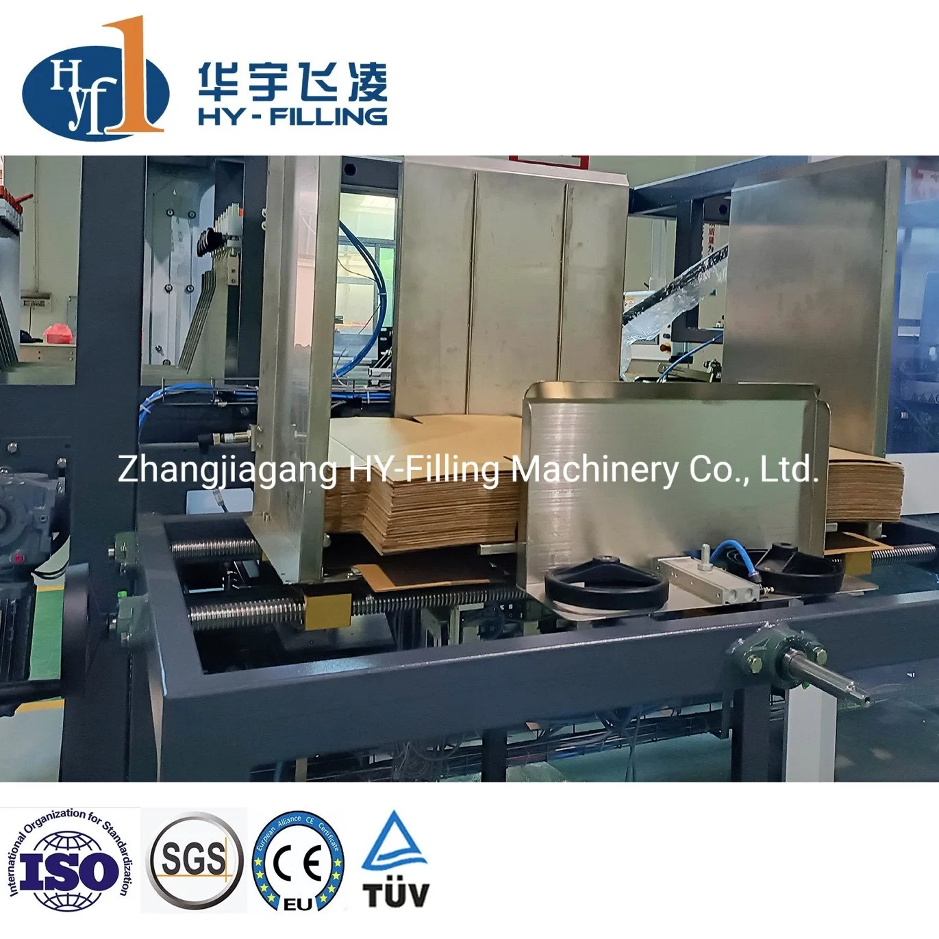 Alcohol Carton Automatic Tray Carton Pouch Packer Packing/Packaging/Pack Machine with Case Box Sealing Erecting and Machine for Pallet Wrapping Robot Palletizin