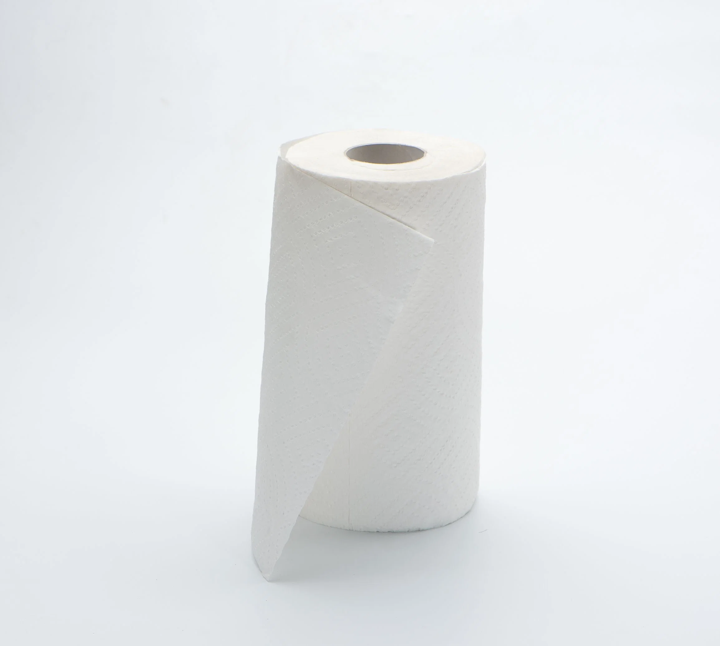 Wholesale/Supplier Professional Kitchen Customm Logo OEM Hot Selling Disposable Kitchen Paper Towel