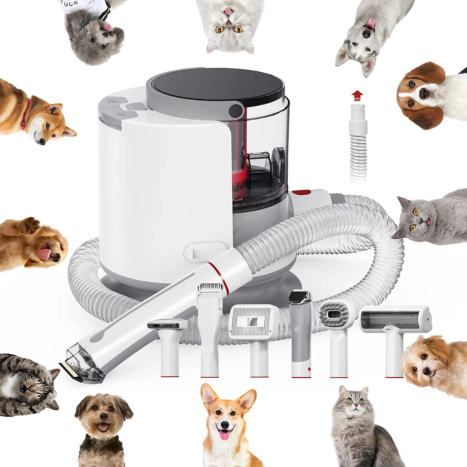 1.5L Multifuctional Electric Pet vacuum Cleaner with Grooming Tools Kits (Grooming Brush, Cleaning Brush, Nozzle, Deshedding Tool, Hair Clipper)