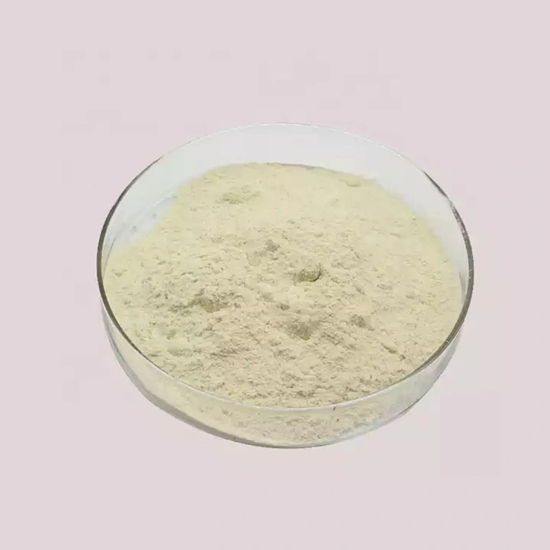 Factory Supply Food Additives Xanthan Gum CAS 11138-66-2 Food Grade Xanthan Gum CAS 11138-66-2 Chemical