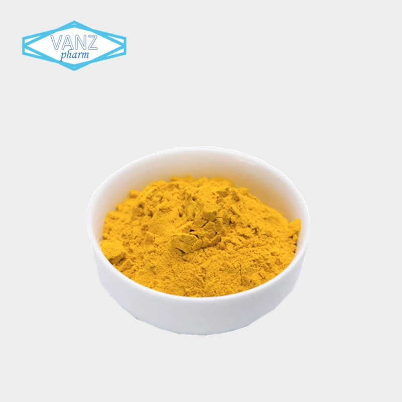 Natural Yellow HPLC 95% Curcumin Powder CAS 458-37-7 From Turmeric Extract