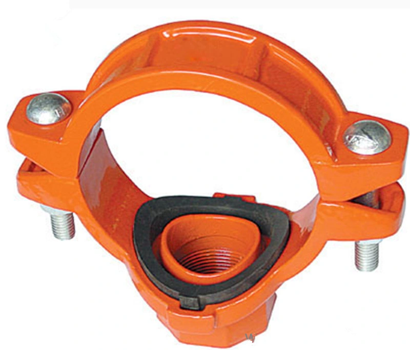 OEM/ODM Ductile Iron Grooved Fitting Reducing Coupling