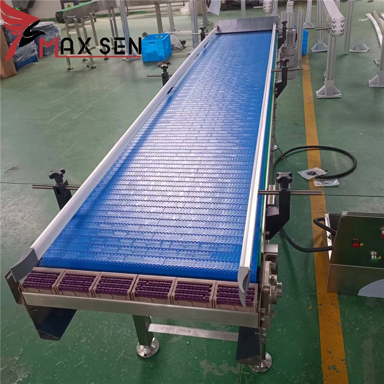 POM Blue Plastic Modular Belt Conveyor System From China Manufacture