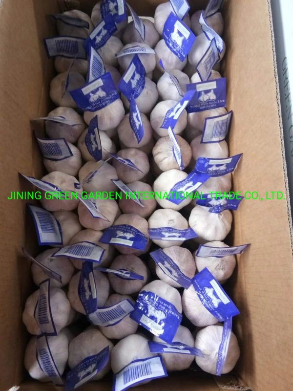 2021 New Crop Dried Dry Normal White Garlic From China Top Quality Lowest Price Plant Factory Direct Supply Experience Producer Good Service 4.5cm,5.0cm,5.5cm E