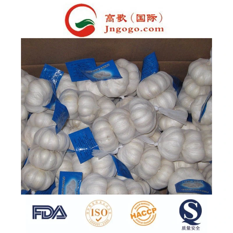 Export New Crop Fresh Pure White Garlic (4.5/5.0)