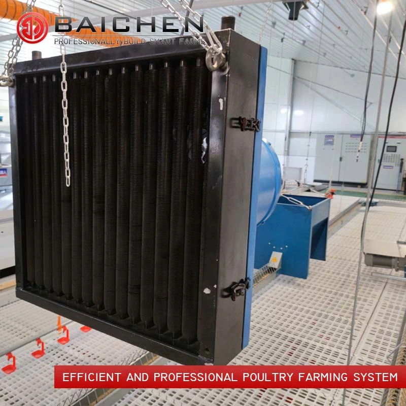 Chicken Feeding Line Equipment Poultry Feeder Machine Automatic Farm Breeding System