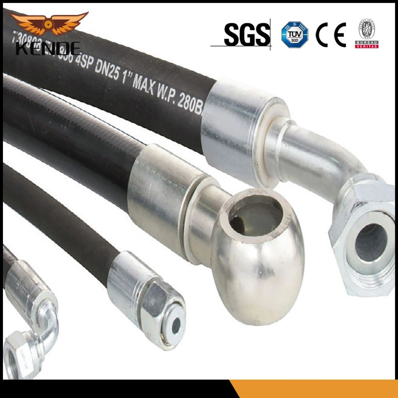 European and American Standards Hydraulic Hose and Fittings / Hose Assembly