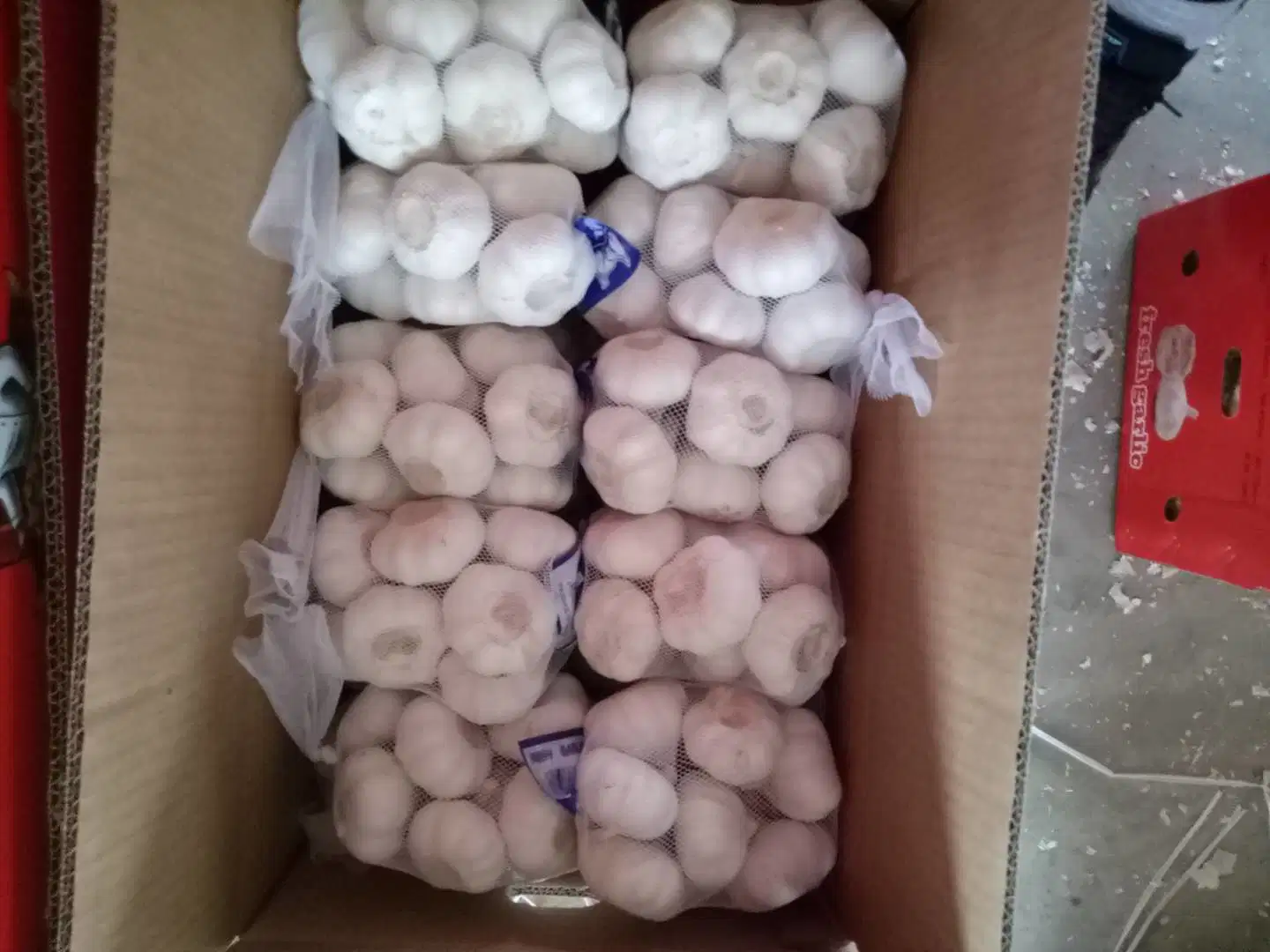 2018 Shandong Fresh White Garlic with Good Price