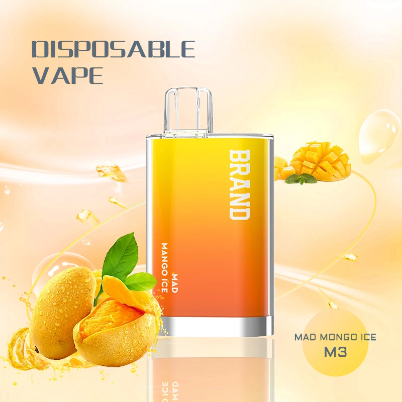 China Hersteller Großhandel/Lieferant Heiße Verkauf 600 Puffs Vape Pen Crystal Stil Einweg Vape 2ml Elektronische Zigarette