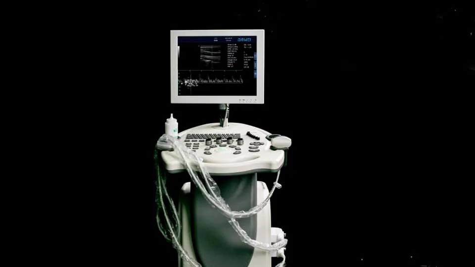 Cost-Effective Black and White Ultrasound Dw-370PC