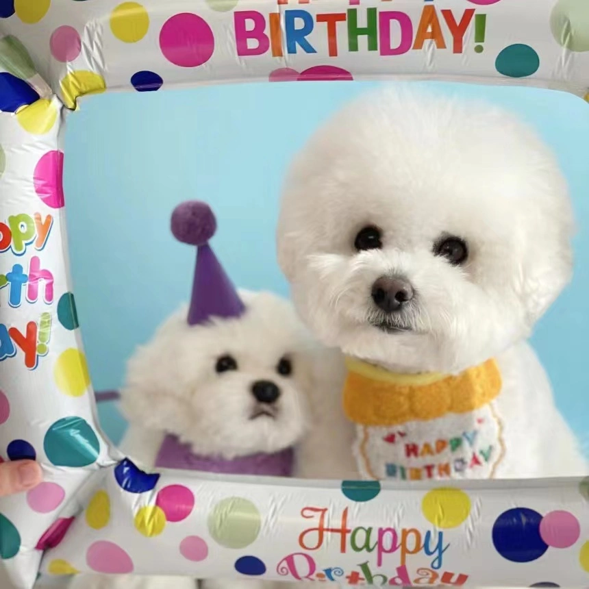 Pet Shop Wholesale/Supplier Super Cute Small Scarf Happy Birthday Dog Gift Bib Clothes