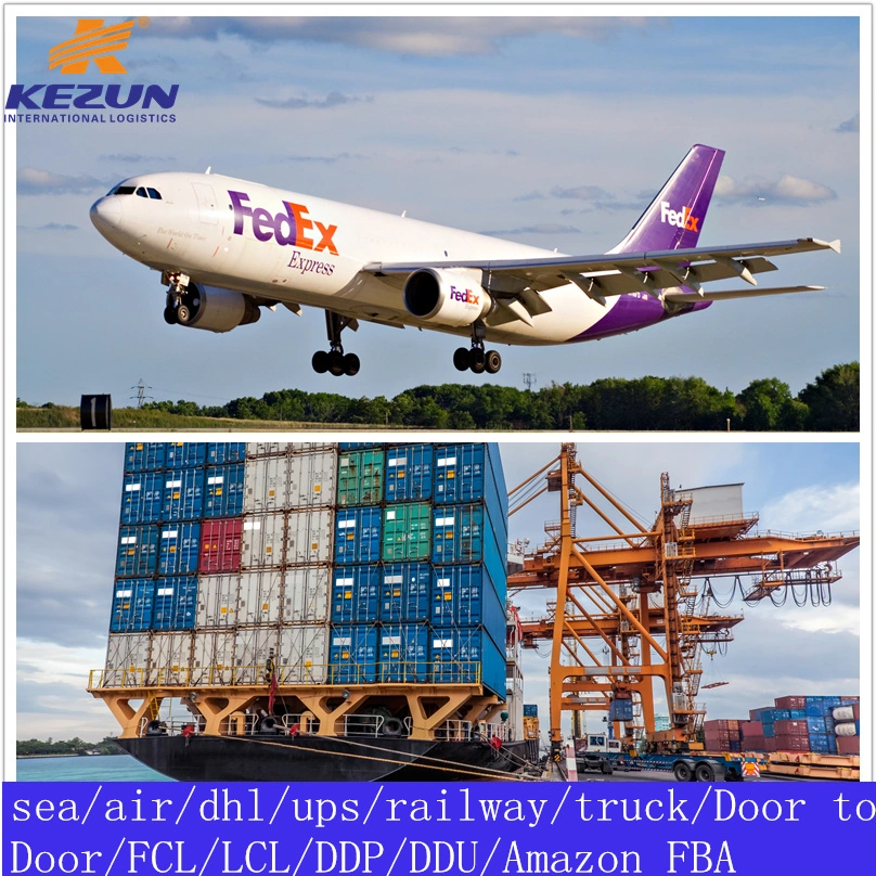 Cargo Logistics Ocean Shipping Sea Freight Air Freight China to Spain Portugal Italy