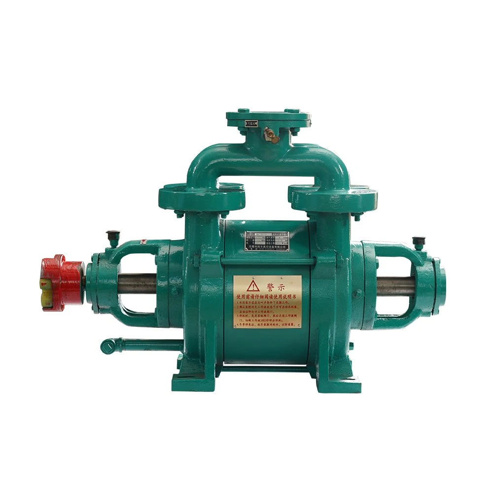 Sk Series Electric 2 Stage Water Ring Liquid Ring Vacuum Pump for Industrial