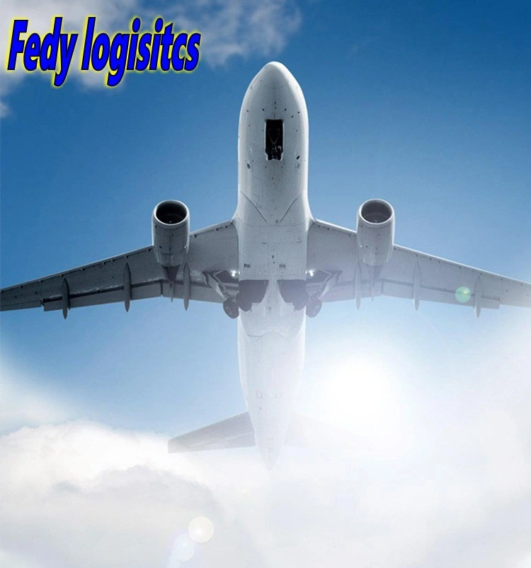 Export Agent DDP Sea Shipping Air Freight Forwarder to New Zealand/Nicaragua/Niger/Nigeria/Norfolk FedEx/UPS/TNT/DHL Express Rates Logistics