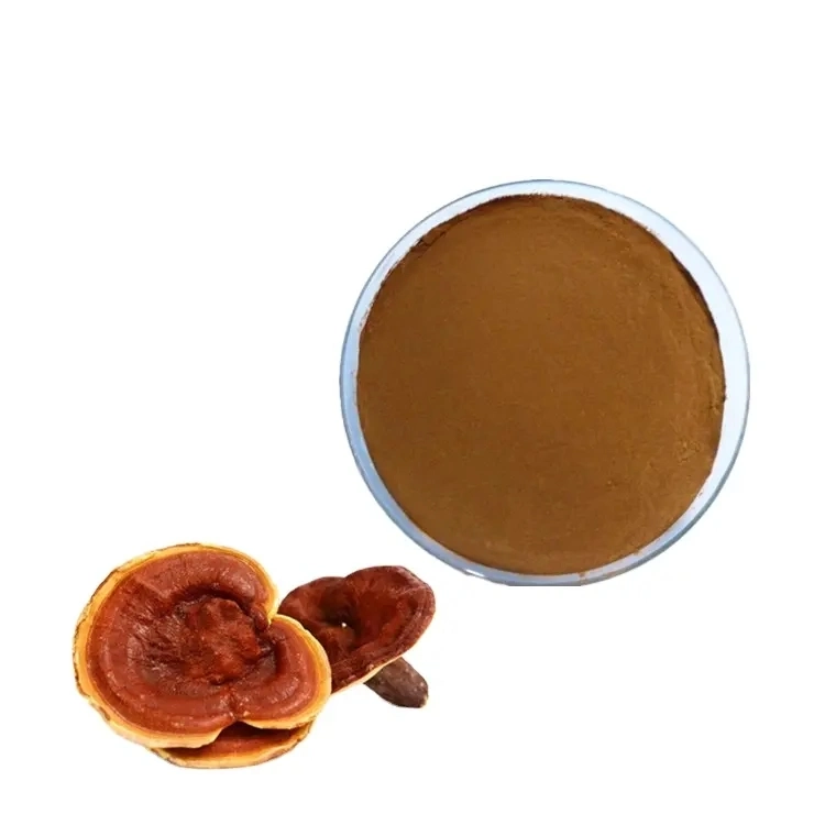 Ganoderma lucidum de aceite de esporas de hongos Reishi Cápsulas Softgel Cápsulas Softgel extracto