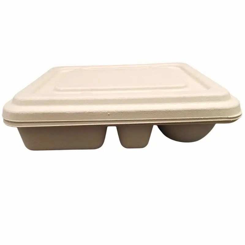 Biodegradable 5 Compartment Bagasse Sugar Cane Paper Pulp Lunch Box