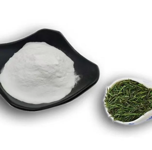 L-Theanine L Theanine CAS 3081-61-6 el 98% de extracto de té verde en polvo Theanine