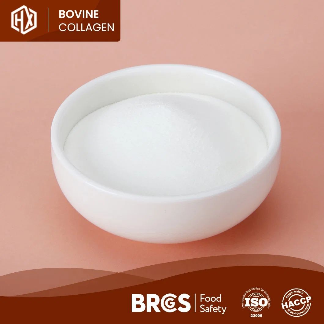 Haoxiang Quality Bovine Hide Collagen Peptide Better Hydrolyzed Bovine Collagen Peptide Original Factory OEM Customized Collagen Protein Powder From Grass Fed Cows