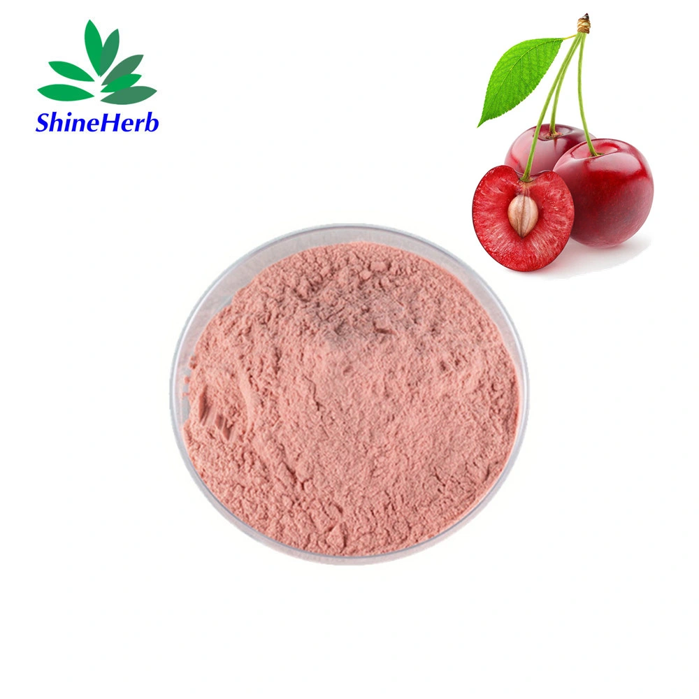 Wholesale Price Acerola Cherry Extract Powder 17% Natural Vitamin C