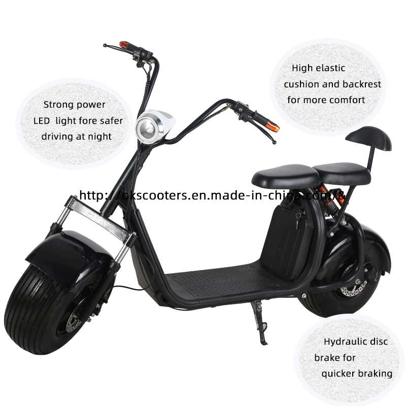 Factory Electric Scooter Parts Electric Moped Electric Motor Bicycle EEC 2+ Warranty