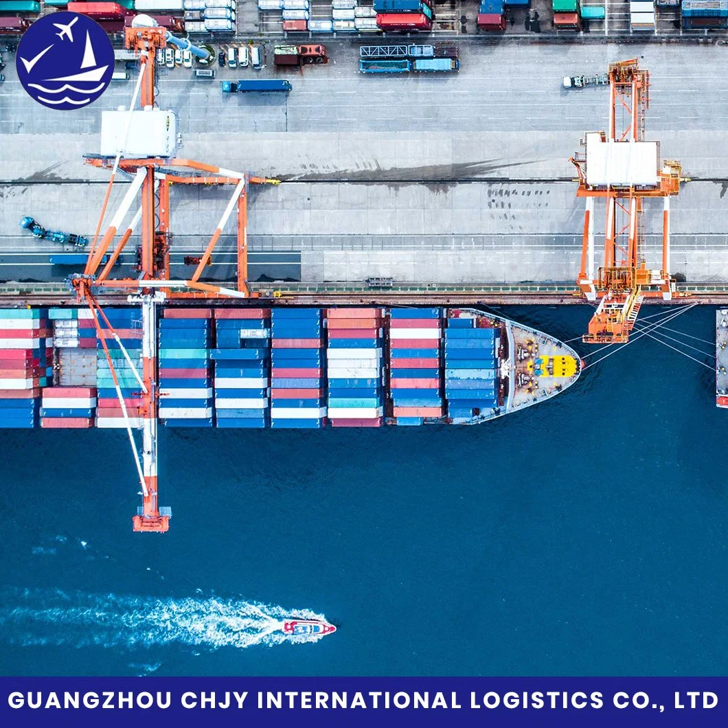 Fast Arrival FCL/LCL DDU/DDP Sea Shipping Agent From China to Australia