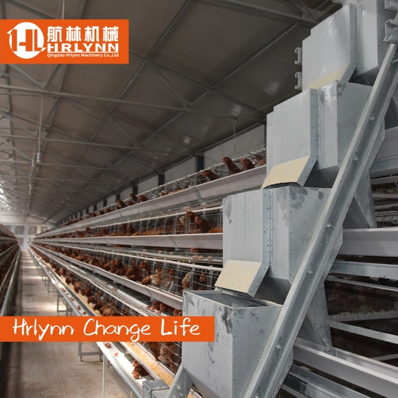 Chicken Cage Egg Layer Chicken Cage Poultry Farm A Type Cages