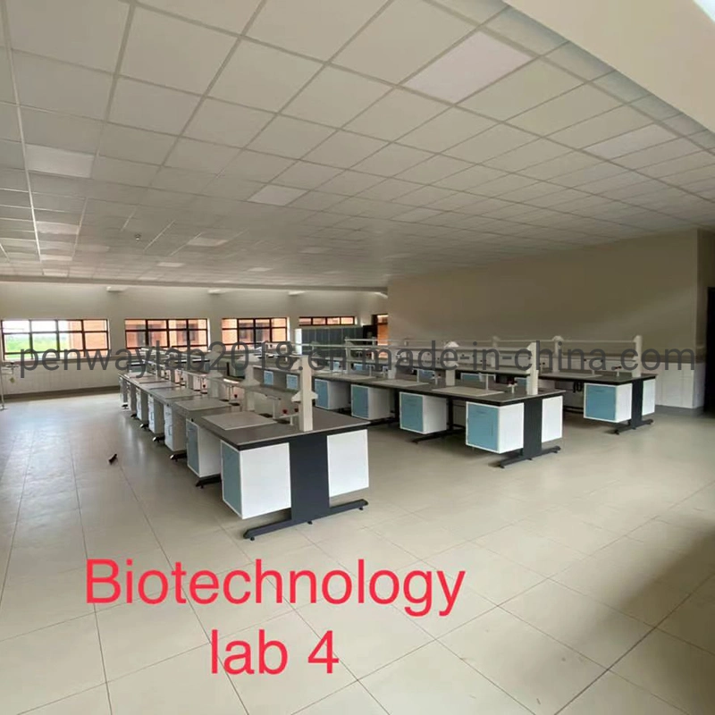 Meubles de salle de TP École Table Lab Laboratoire Mobilier de laboratoire