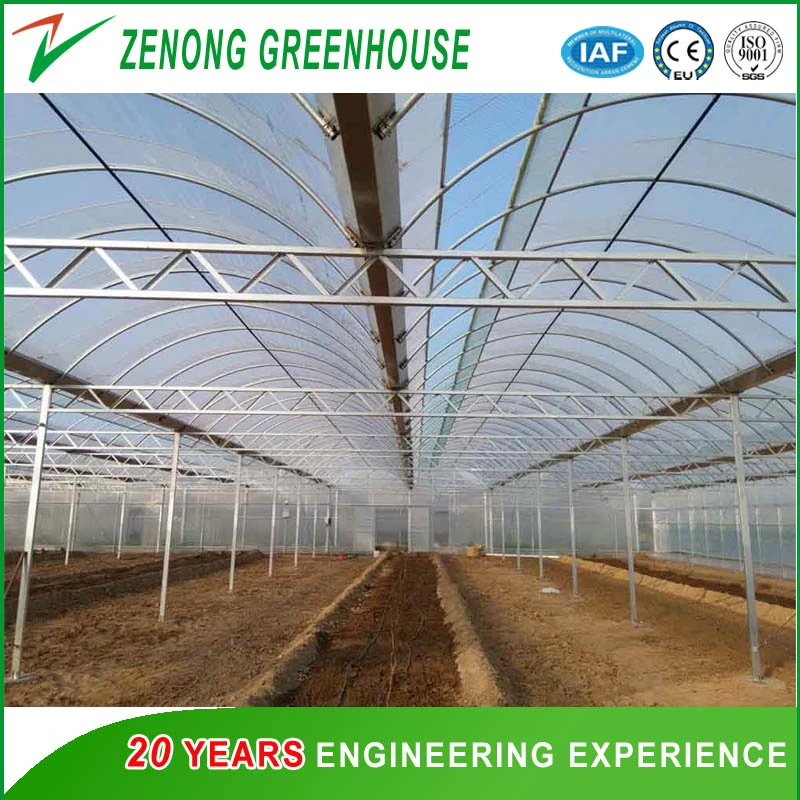 Agriculture Plastic Film Multi-Span Greenhouse with Wet Curtain for Seedling Breeding/Flower Cultivation/Sightseeing