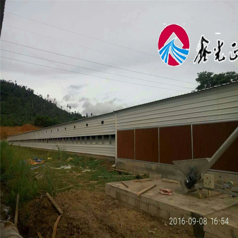 Poultry Farming System Automatic Chicken Broiler Farm Equipment